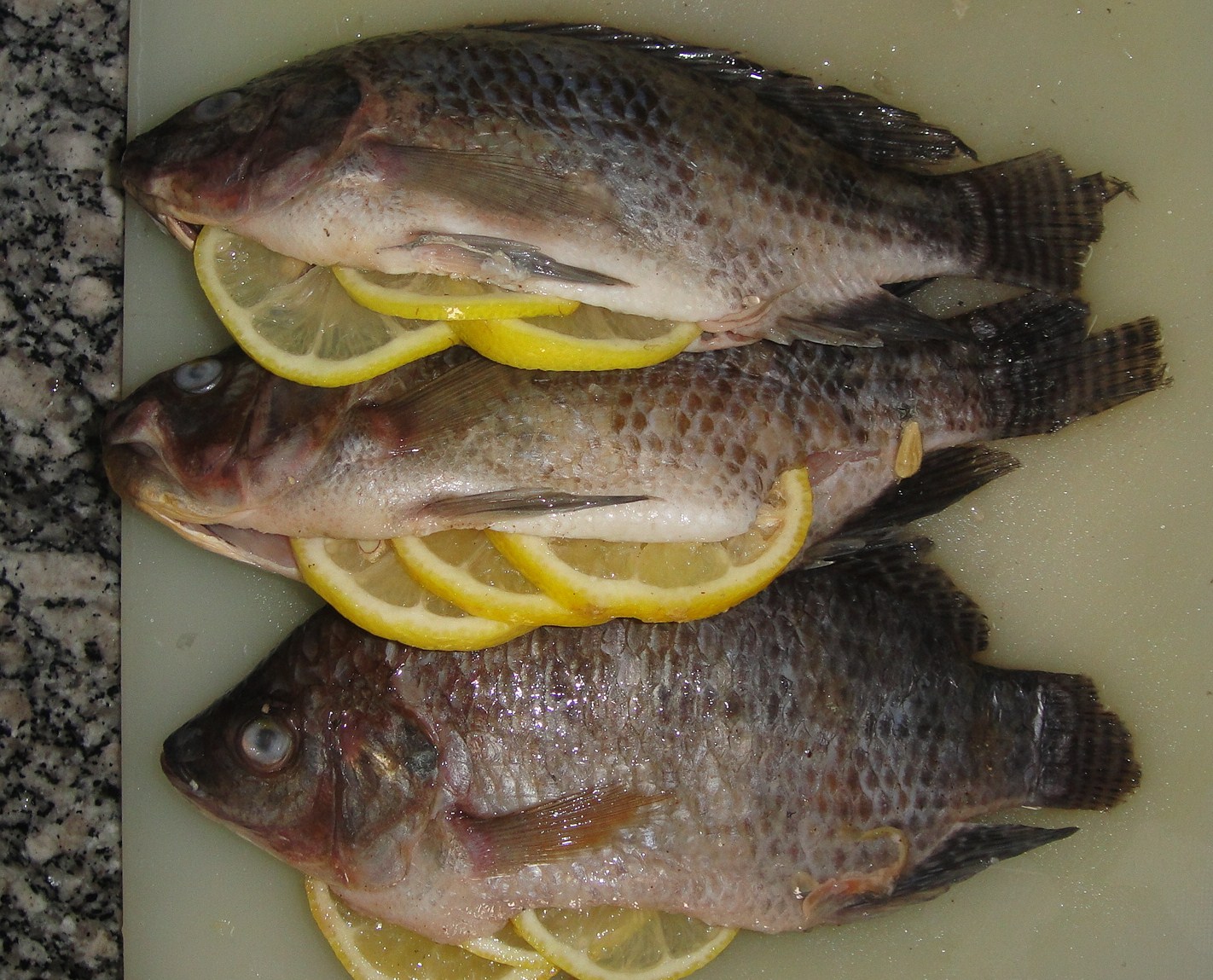 Maryam's Culinary Wonders 90. Grilled Fish with Parsley Sauce