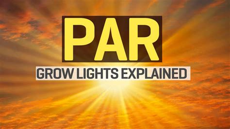 Grow Lights Explained