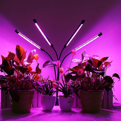 Grow Lights For&nbsp;Houseplants
